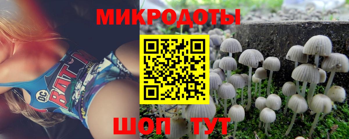 Галлюциногенные грибы Magic Shrooms Благовещенск