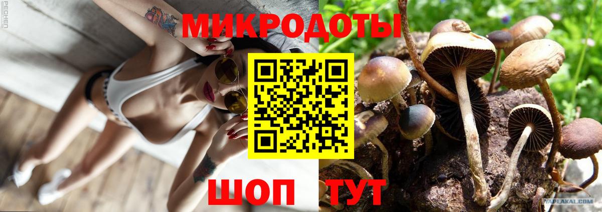Благовещенск  Галлюциногенные грибы мухоморы  Вход с VPN 